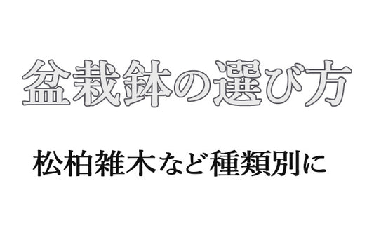 盆栽鉢の選び方|松柏雑木など種類別にザックリ解説!おすすめ鉢も紹介