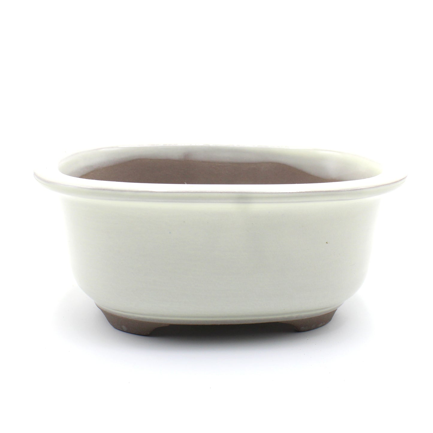 盆栽鉢 小判エン付鉢 瀬戸焼 (5号(約16センチ), クリーム釉(白色))