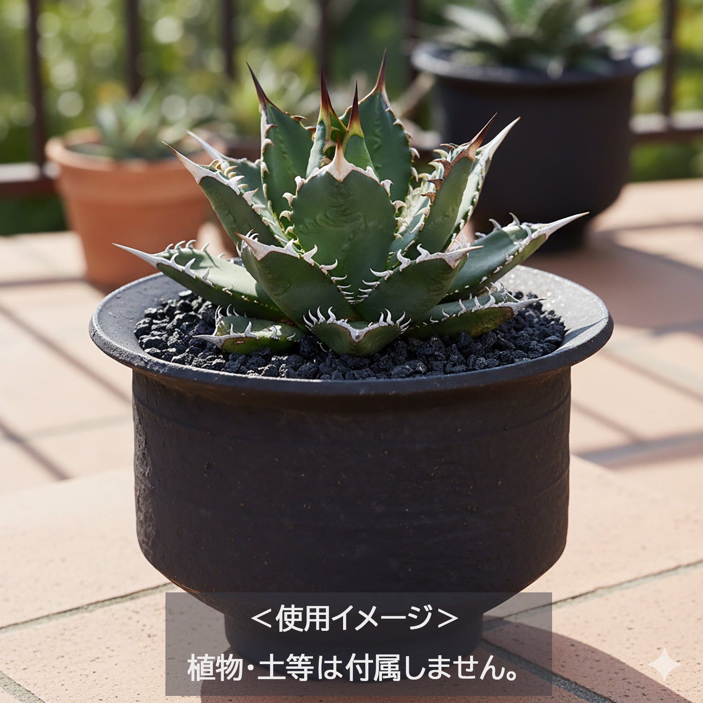 信楽焼 陶器鉢 中深エン付 M 3-4号 黒鉄釉 約12センチ