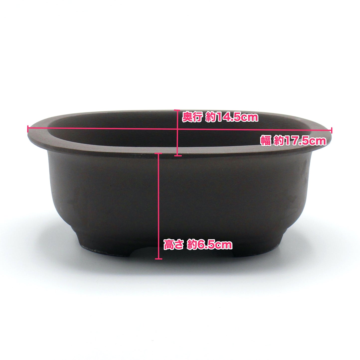 盆栽鉢 小判エン付鉢 瀬戸焼 (6号(約17.5センチ), ウ泥)