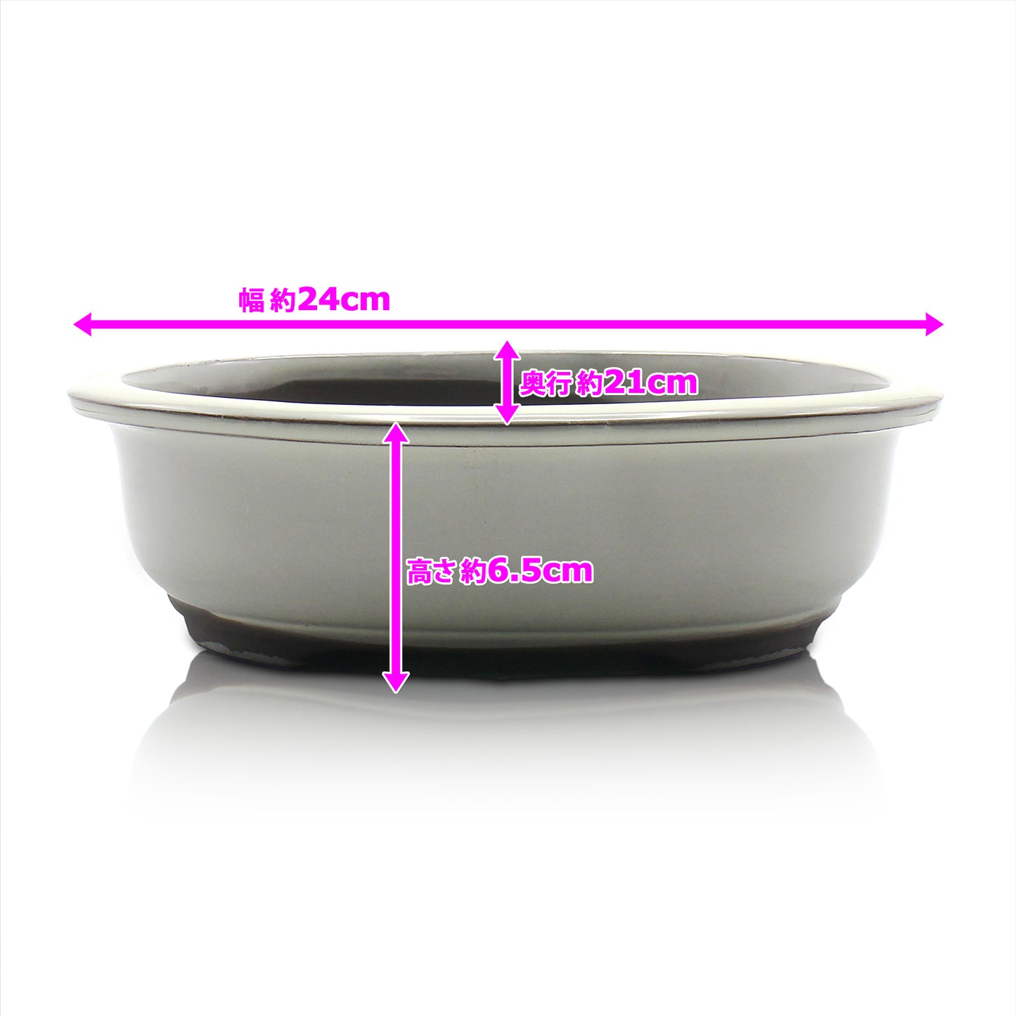 盆栽鉢 小判エン付鉢 瀬戸焼 (8号(約24センチ), クリーム釉(白))