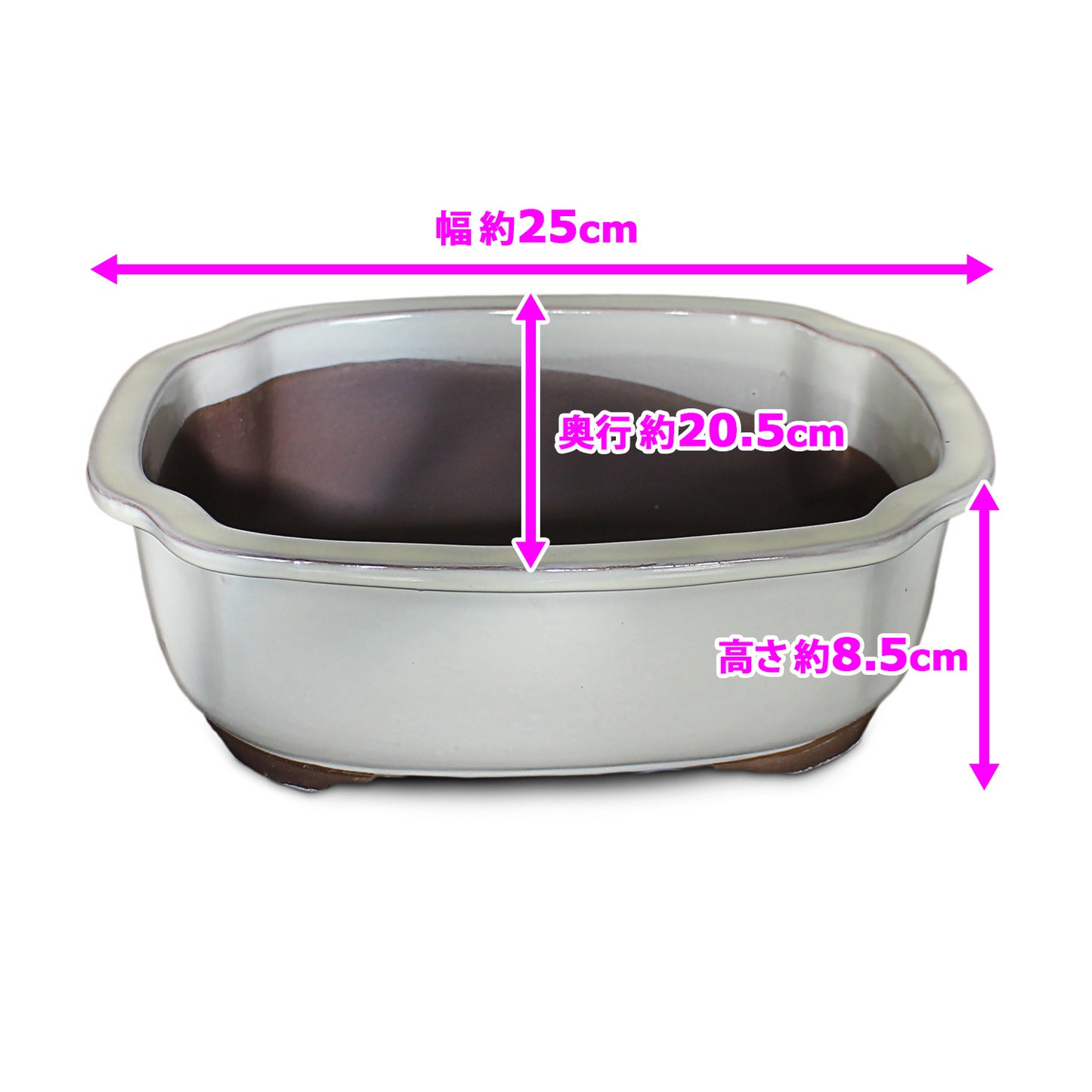 盆栽鉢 木瓜鉢 モッコ鉢 瀬戸焼 (8号(約25センチ), クリーム釉)