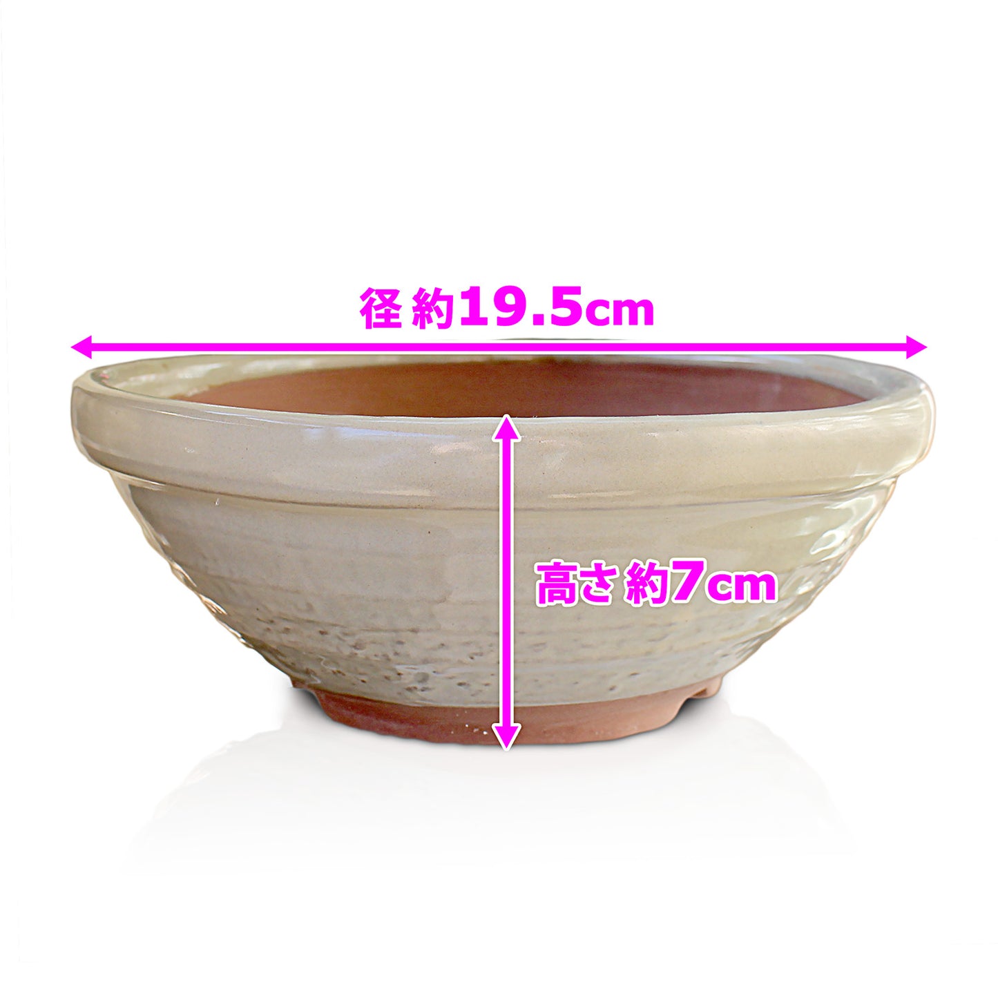 盆栽鉢 丸山草鉢 白色 クリーム釉 四日市萬古焼 (6号(約19.5センチ))