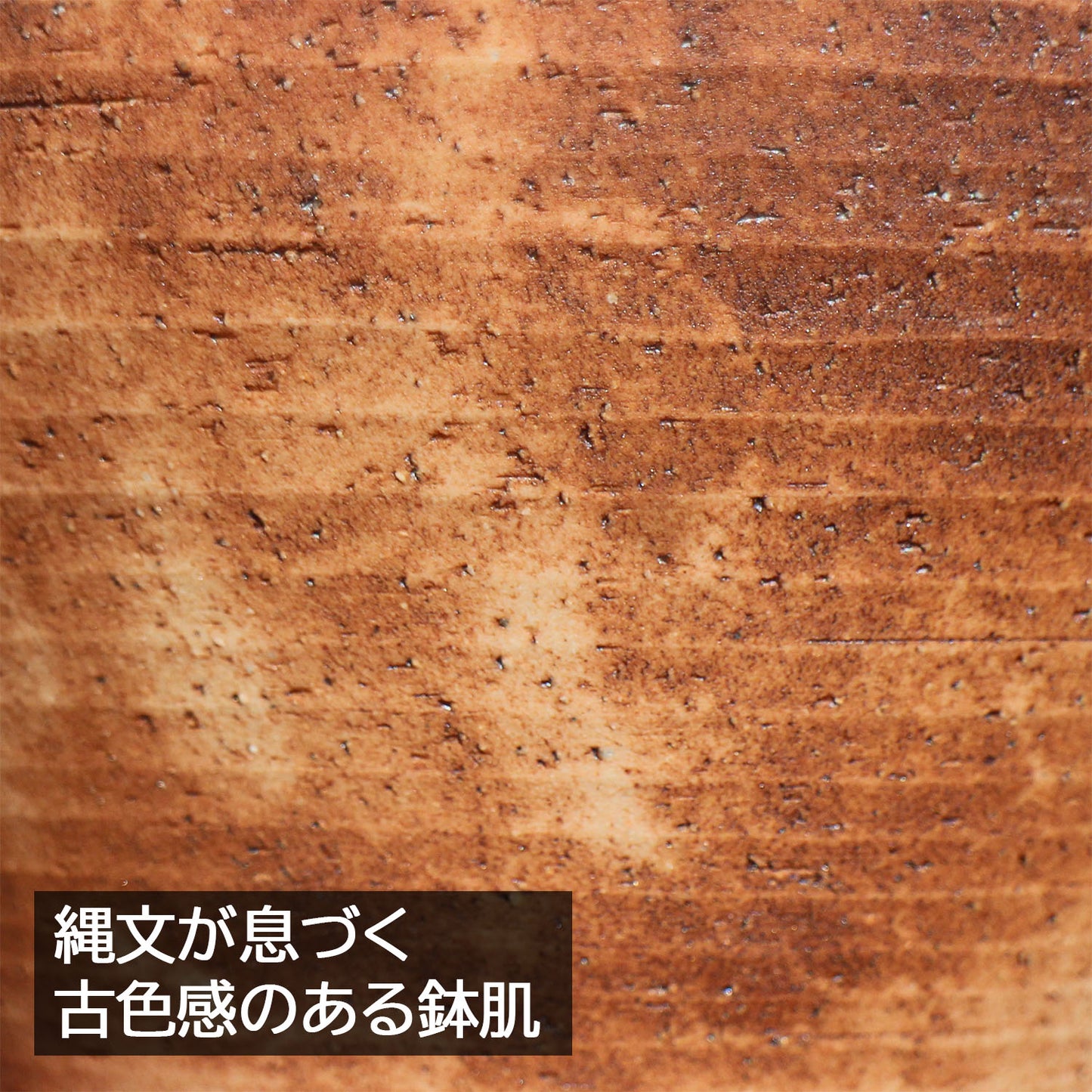 盆栽鉢 丸反型 6号 美濃焼 古陶縄文 約18センチ