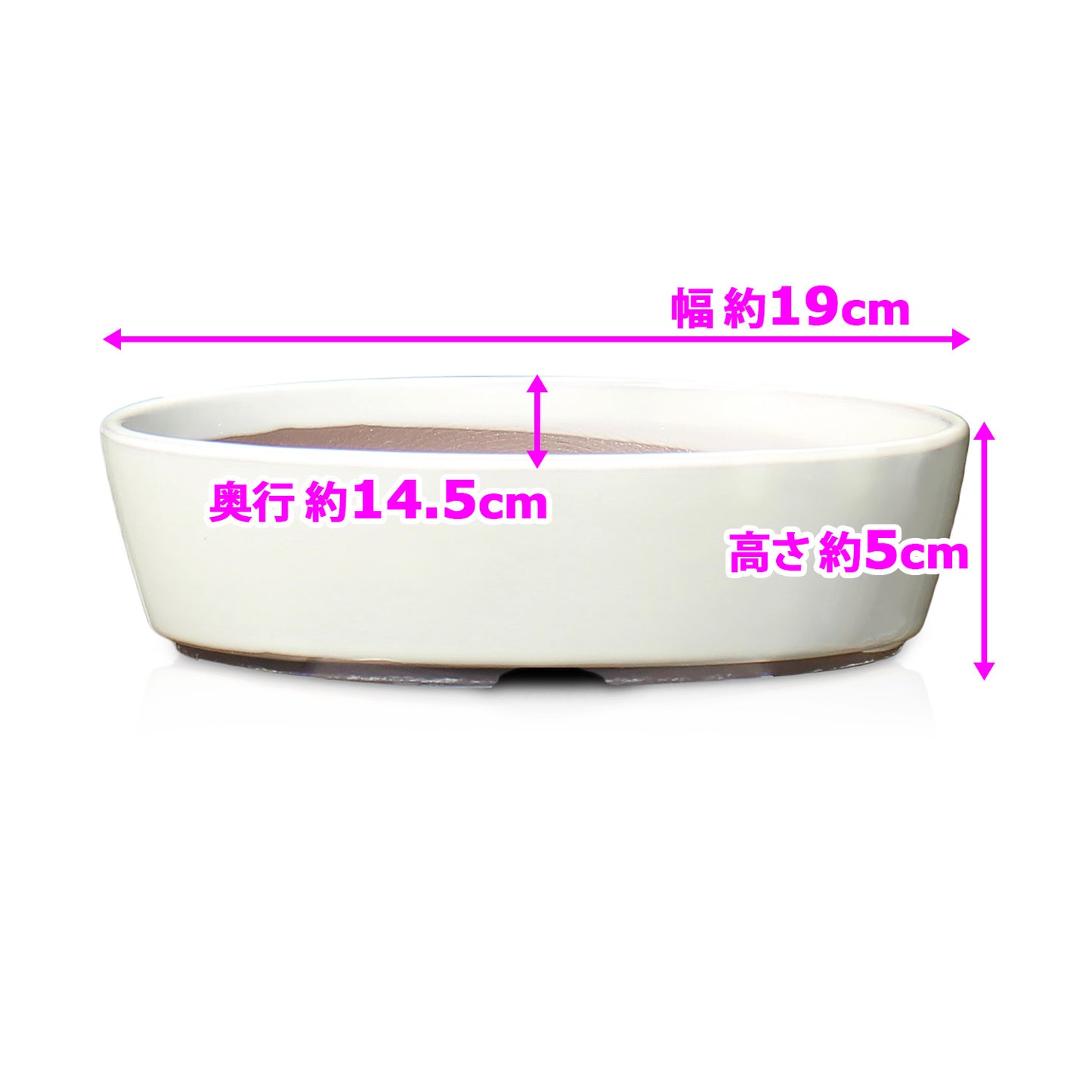 盆栽鉢 小判切立盛 四日市萬古焼 (6号(約19センチ), クリーム釉(白))