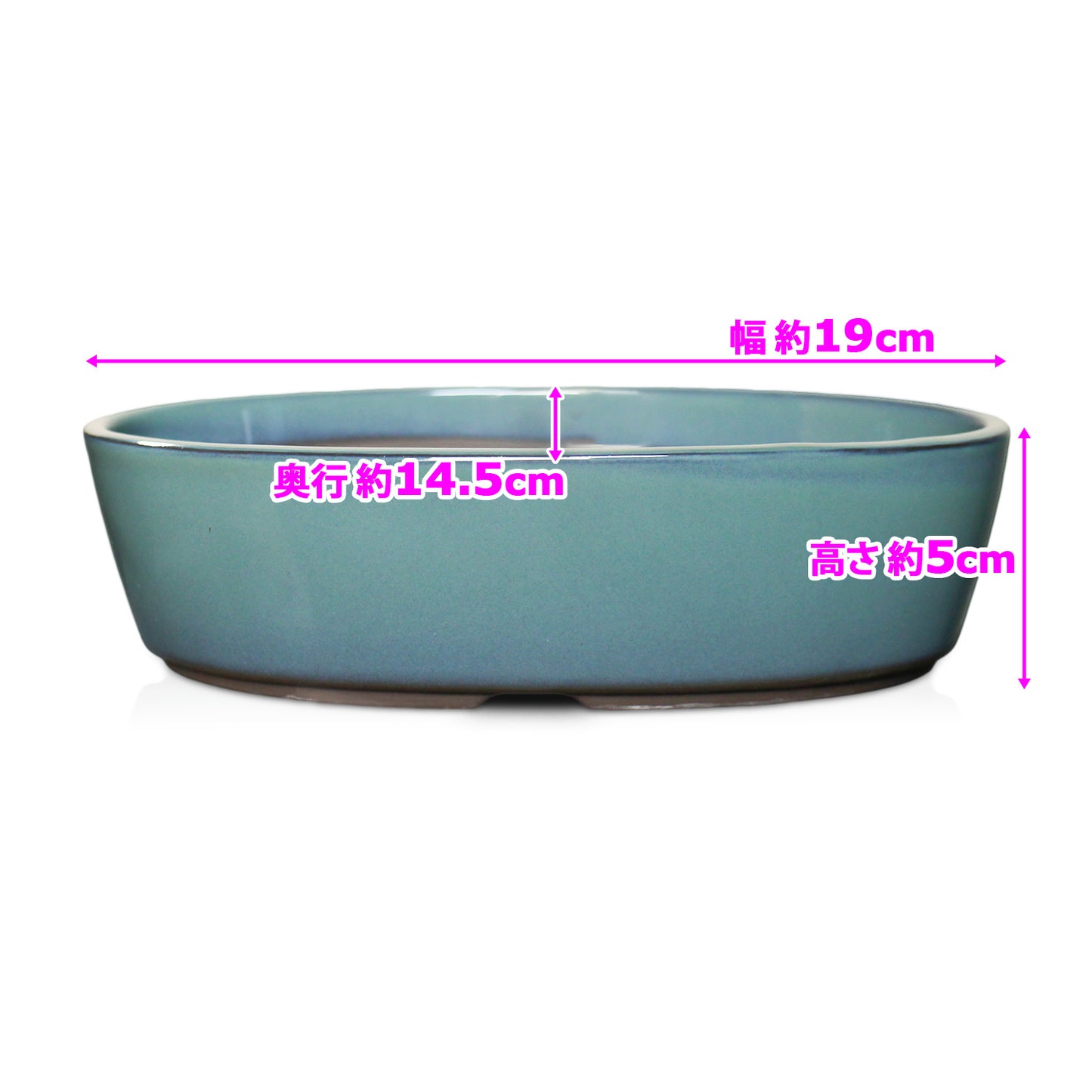 盆栽鉢 小判切立盛 四日市萬古焼 (6号(約19センチ), 織部釉(緑))