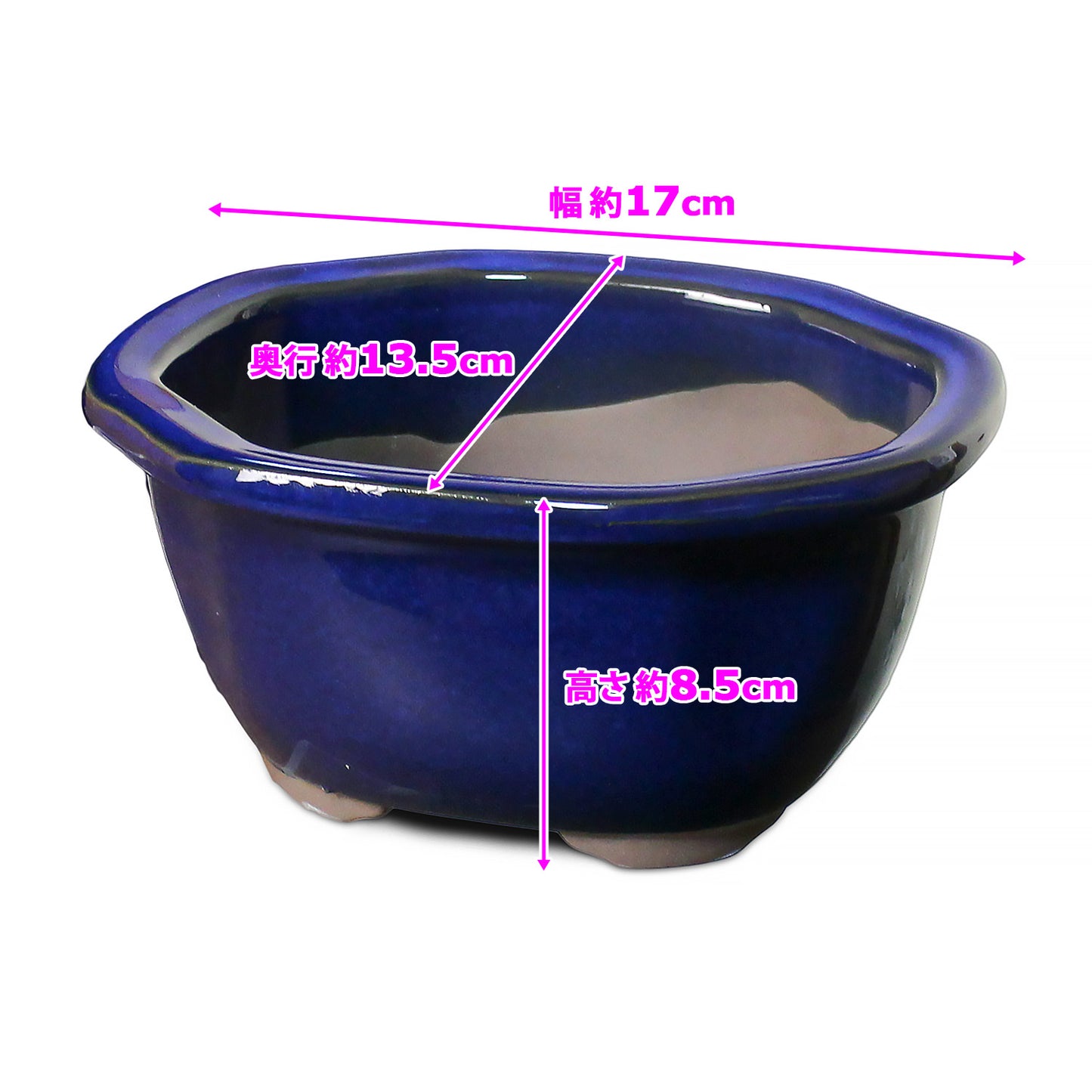 盆栽鉢 木瓜鉢 モッコ鉢 瀬戸焼 (5号(約17センチ), 海鼠釉(青))