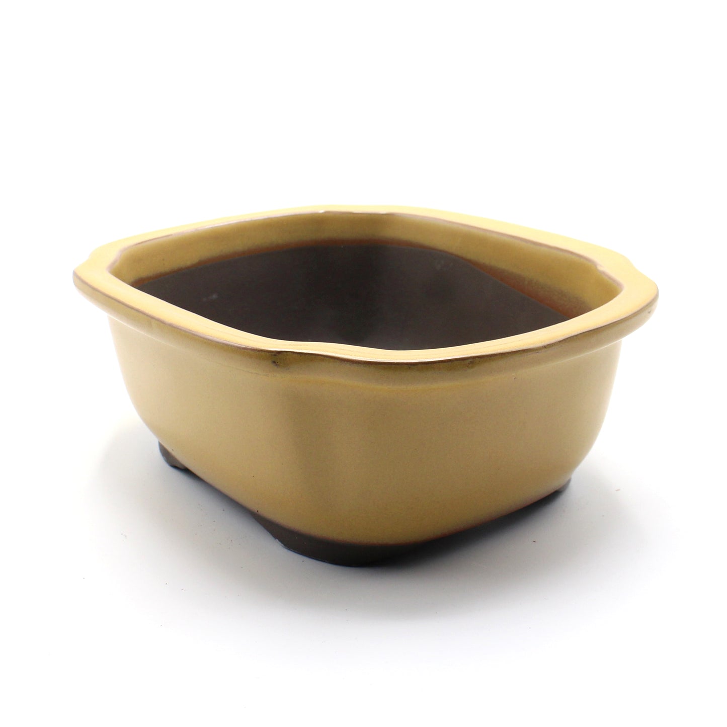 盆栽鉢 木瓜鉢 モッコ鉢 瀬戸焼 (7号(約23.5センチ), 黄釉)