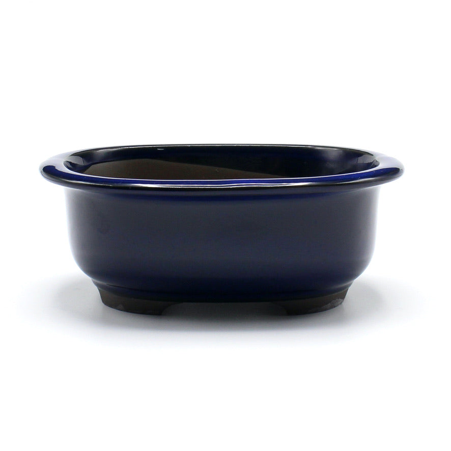 盆栽鉢 小判エン付鉢 瀬戸焼 (6号(約17.5センチ), 海鼠釉(青))