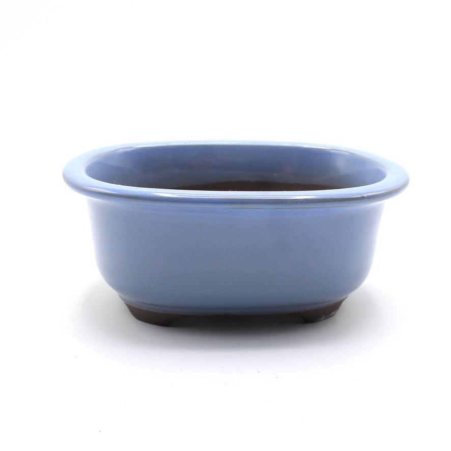 盆栽鉢 小判エン付鉢 瀬戸焼 (5号(約16センチ), 均窯釉(水色))