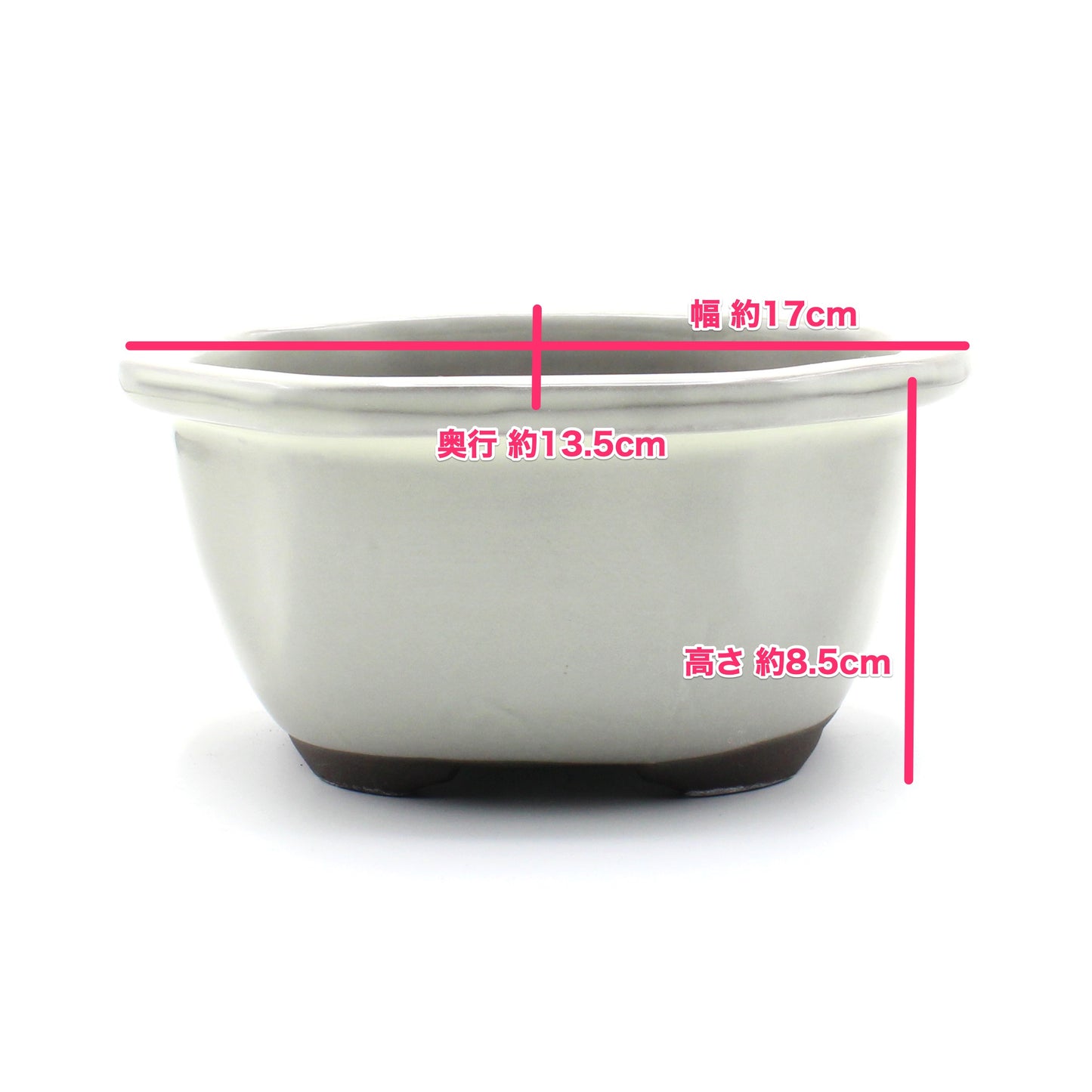 盆栽鉢 木瓜鉢 モッコ鉢 瀬戸焼 (5号(約17センチ), クリーム釉(白))