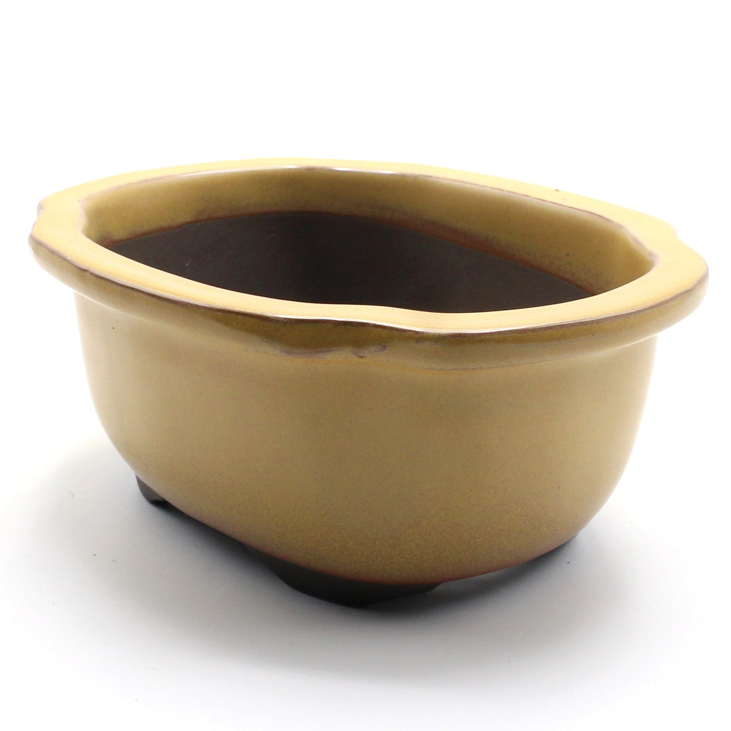 盆栽鉢 木瓜鉢 モッコ鉢 瀬戸焼 (6号(約20センチ), 黄釉)