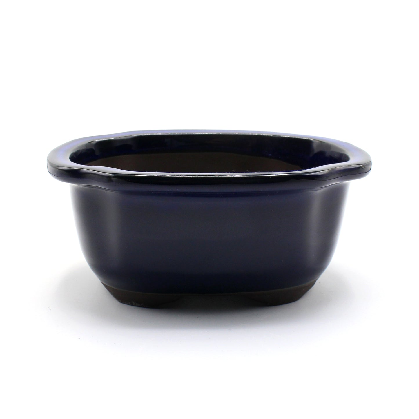 盆栽鉢 木瓜鉢 モッコ鉢 瀬戸焼 (6号(約20センチ), 海鼠釉(青))