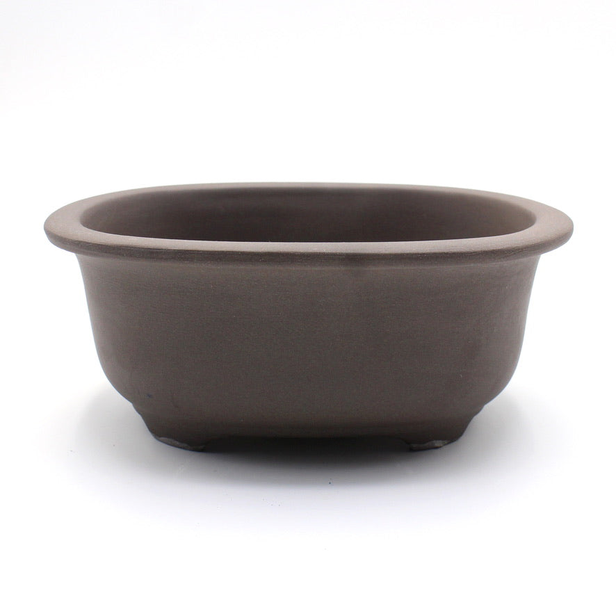 盆栽鉢 小判エン付鉢 瀬戸焼 (5号(約16センチ), ウ泥)