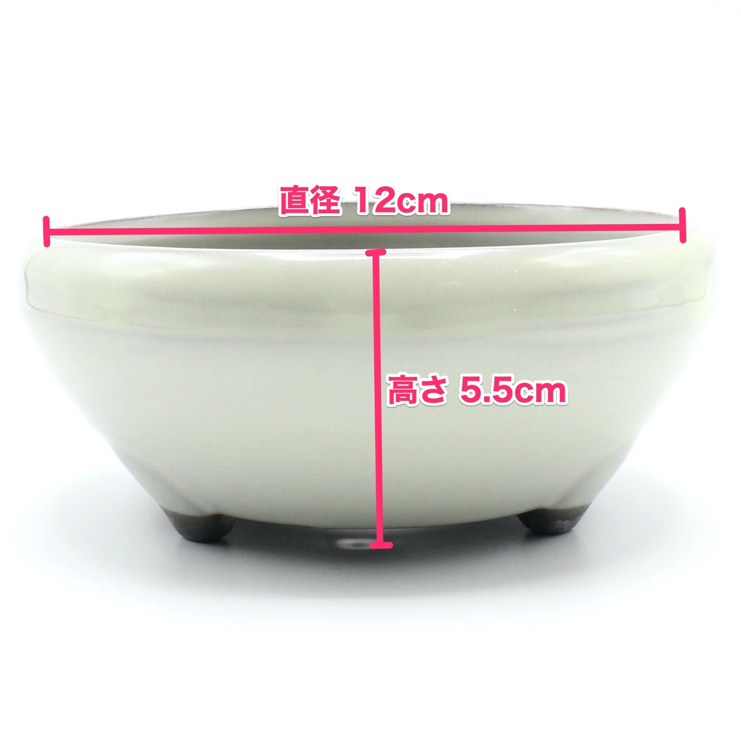 盆栽鉢 鉄鉢 クリーム釉(白) 瀬戸焼 (4号(約12センチ))