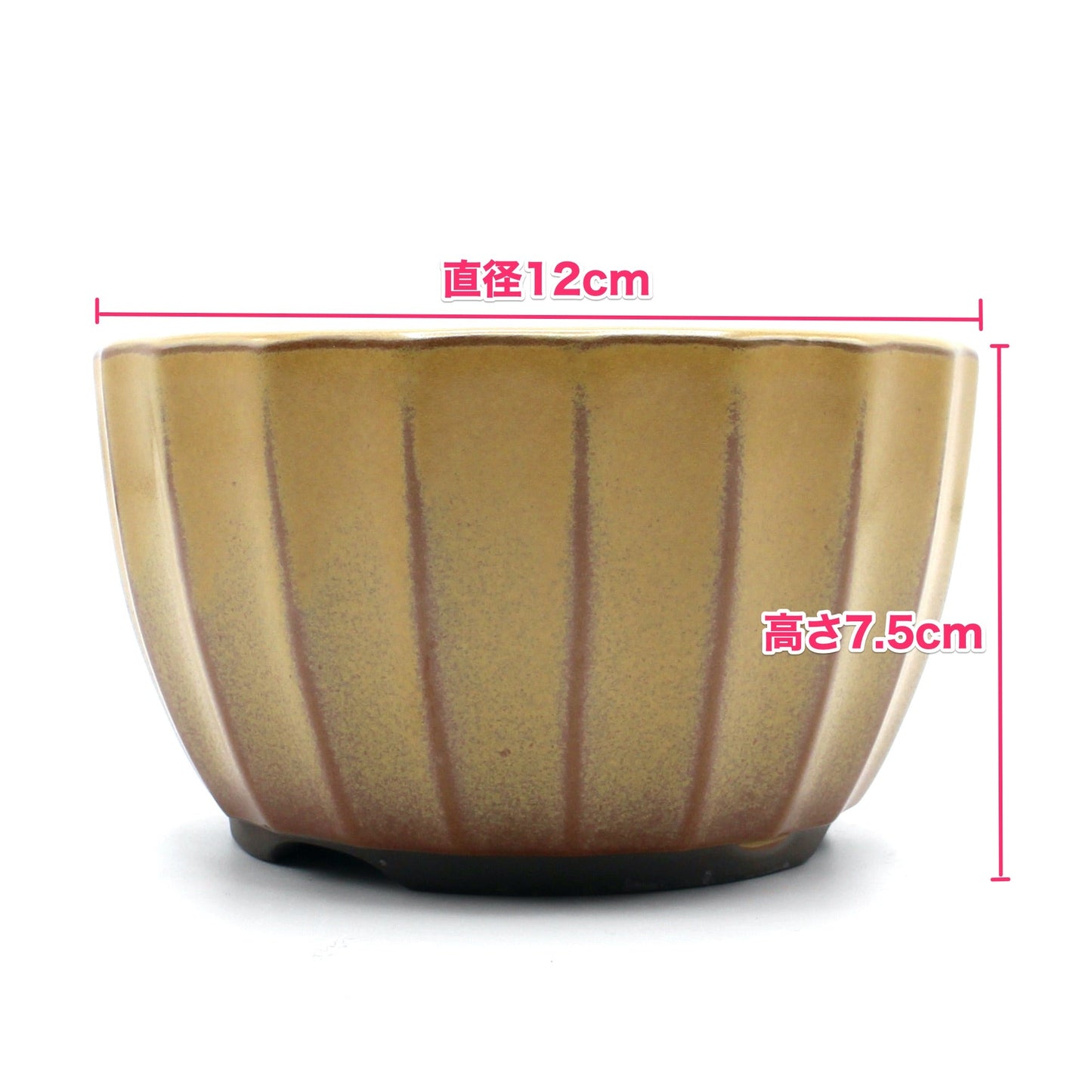 盆栽鉢 菊型小鉢 黄土色 黄釉 瀬戸焼 (4号(約12センチ))