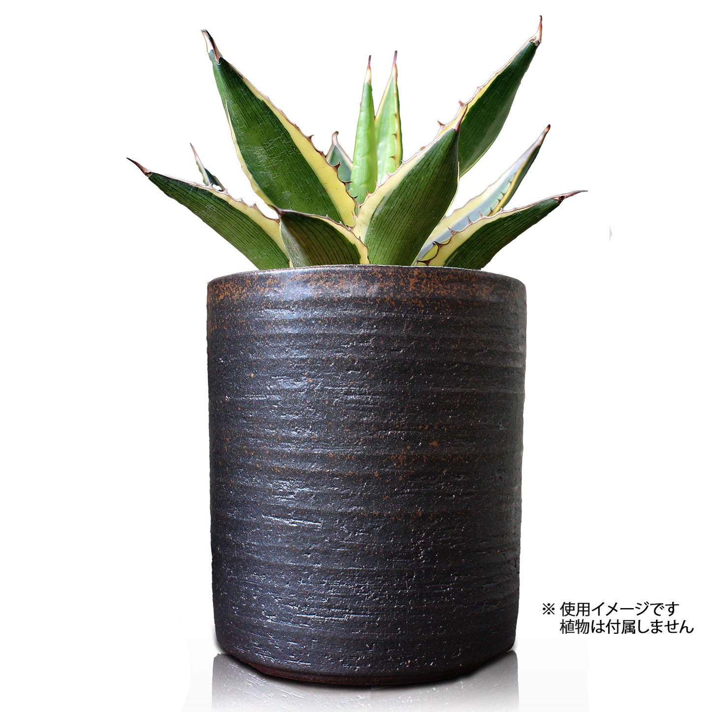 丸型切立鉢 鉄イラボ 信楽焼 盆栽鉢 山野草 観葉植物 アガベ 塊根 (4号(約13センチ))