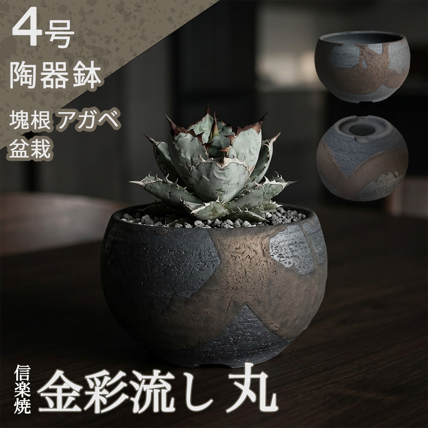 hachi – うめきち盆栽用品店