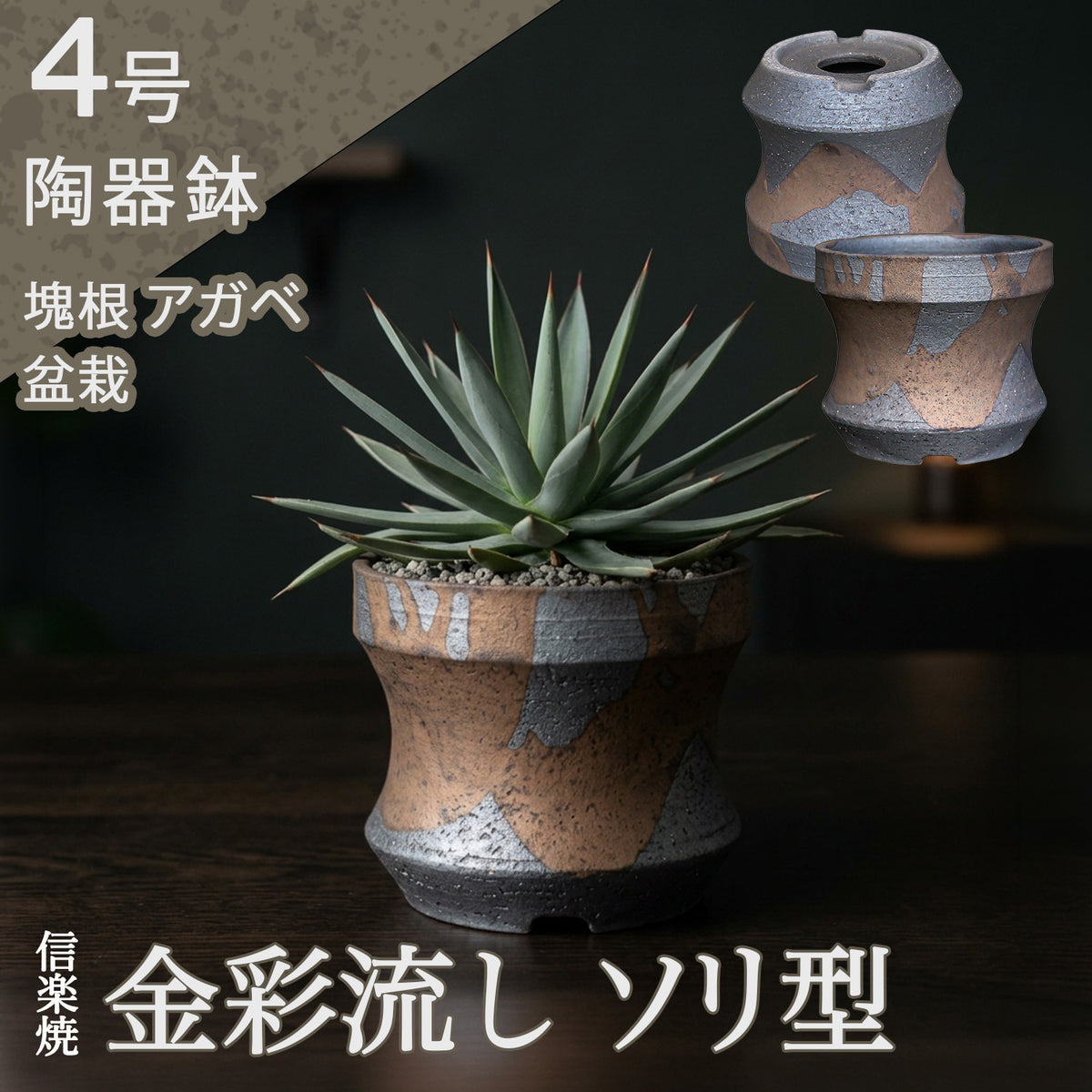 信楽焼 陶器鉢 ソリ 金彩流しM 4号 約12センチ