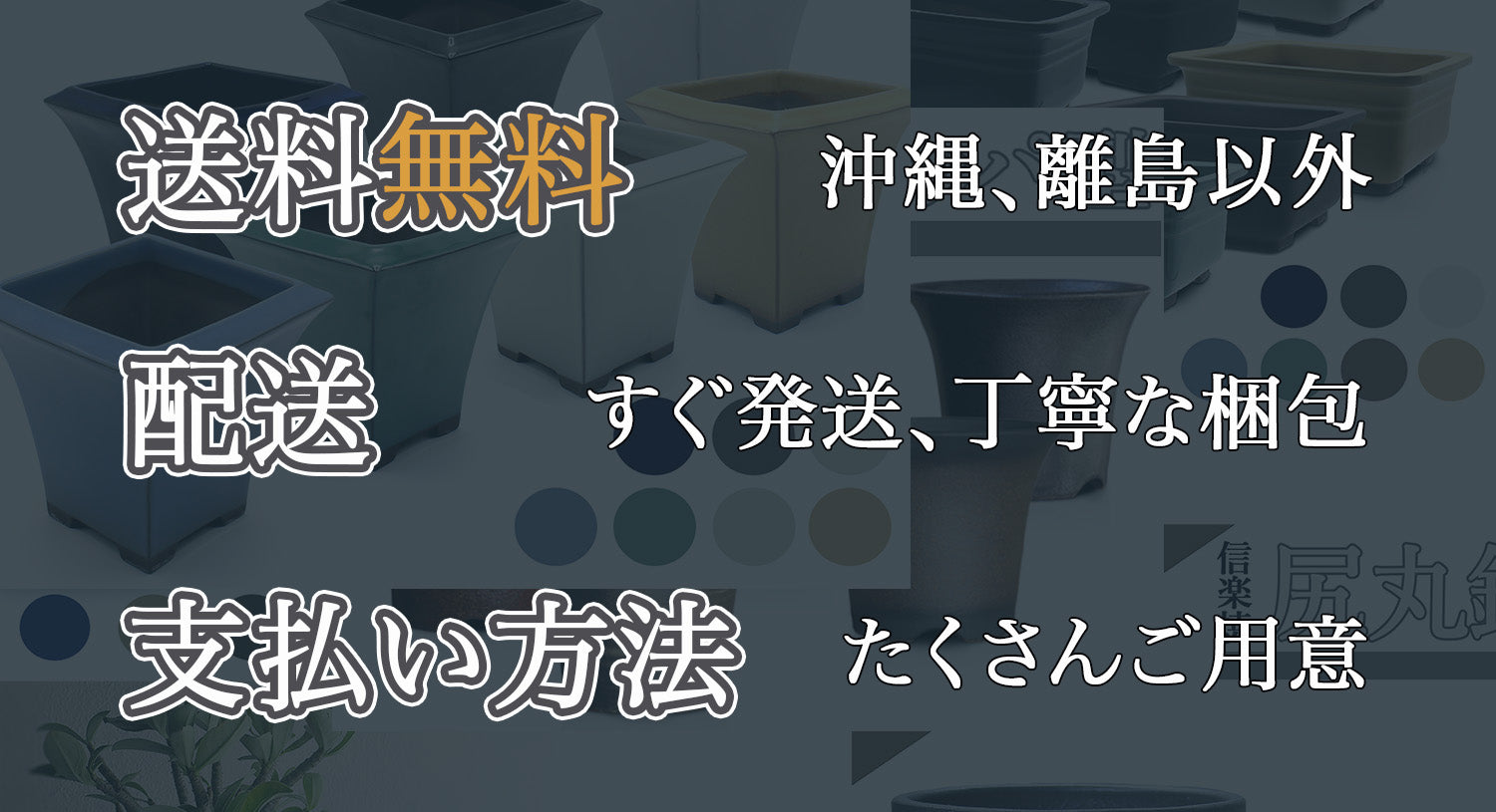 うめきち本店 – うめきち盆栽用品店