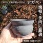 信楽焼 陶器鉢 丸段型 M 3-4号 黒鉄釉 約12センチ