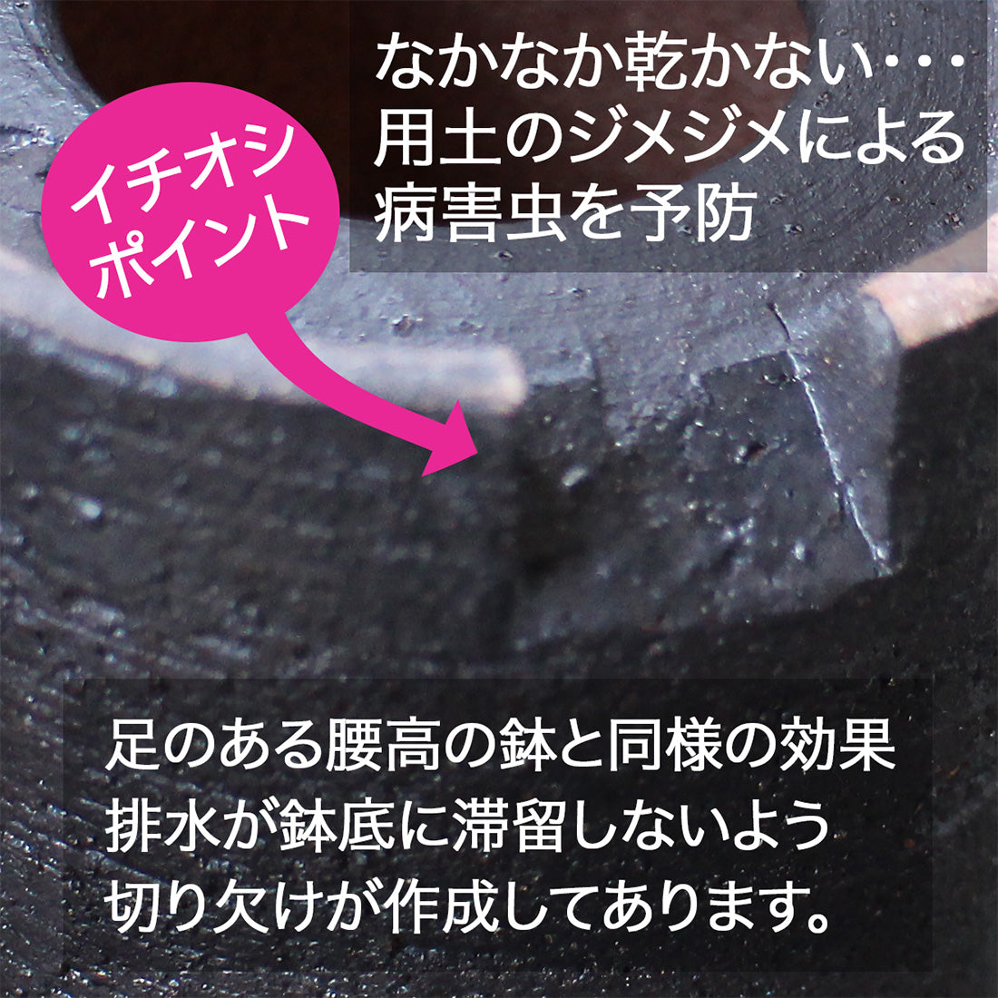 信楽焼 盆栽鉢 寸胴 3.5号 金彩 黒 約10センチ