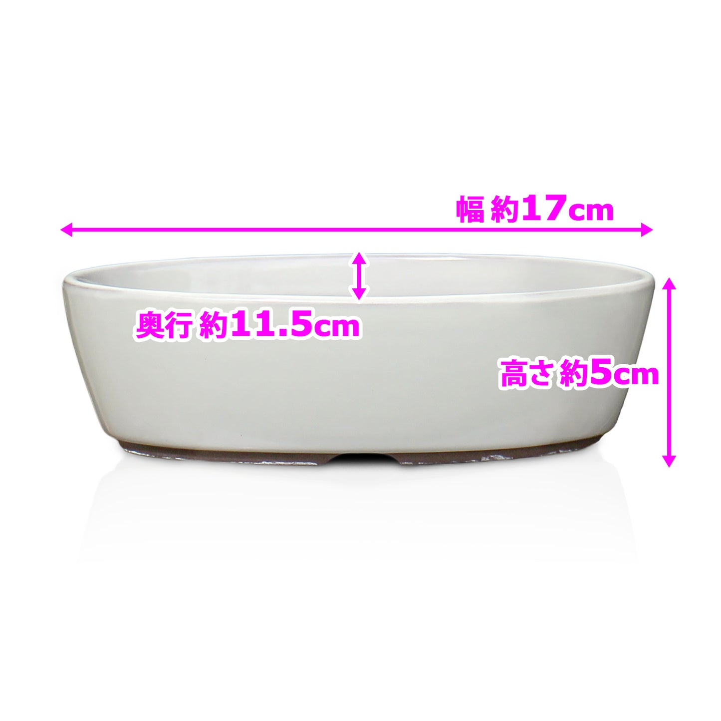 盆栽鉢 小判切立盛 四日市萬古焼 (5.5号(約17センチ), クリーム釉(白))