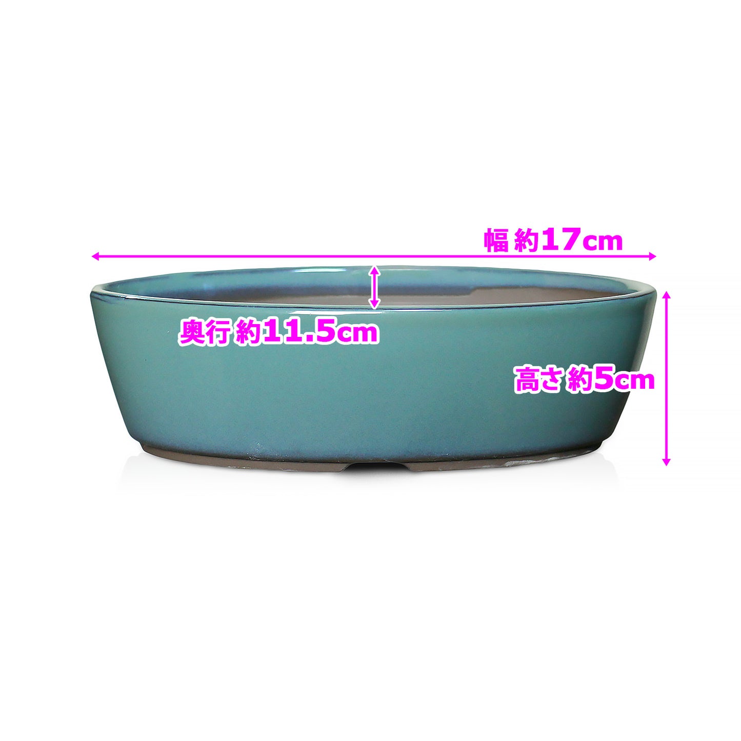 盆栽鉢 小判切立盛 四日市萬古焼 (5.5号(約17センチ), 織部釉(緑))