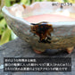 盆栽鉢 山野草鉢 岩肌丸 四日市萬古焼 (5号(約15センチ), 砂ビードロ)